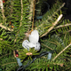 Illustration for article titled Best Xmas Tree Ever Has All the Sci-Fi Decorations You Can Imagine